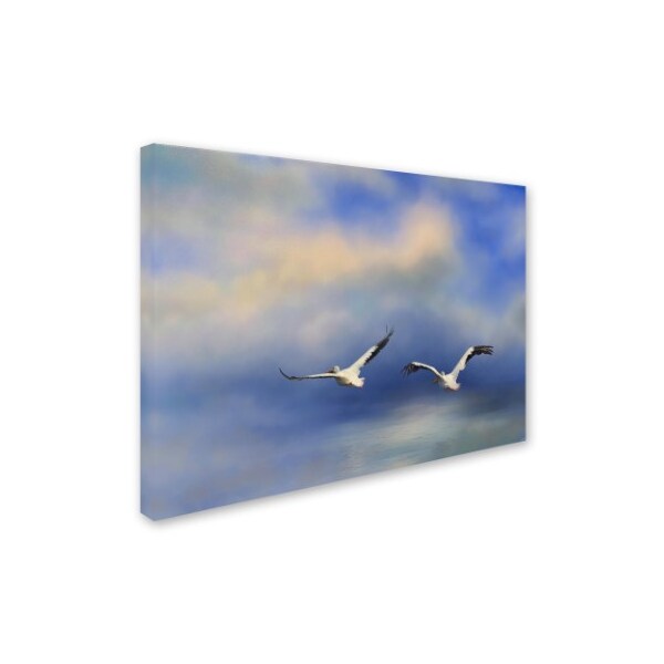 Jai Johnson 'Pelicans At Sea' Canvas Art,18x24